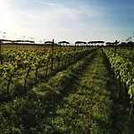 Podere Montecorno * Alberese