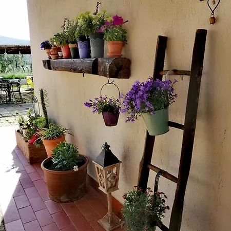 Farm stay Podere Montecorno Alberese