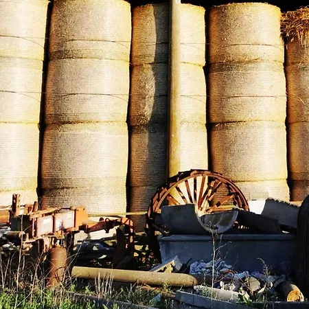 Podere Montecorno Farm stay