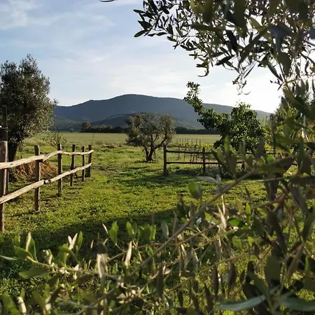 Lantgård Podere Montecorno Alberese