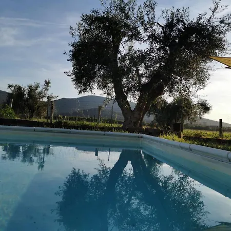 Podere Montecorno * Alberese
