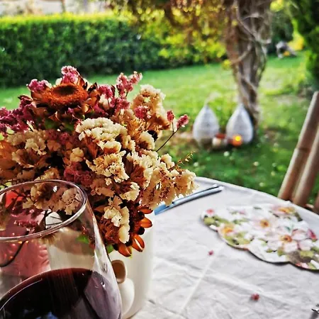 Podere Montecorno Farm stay *