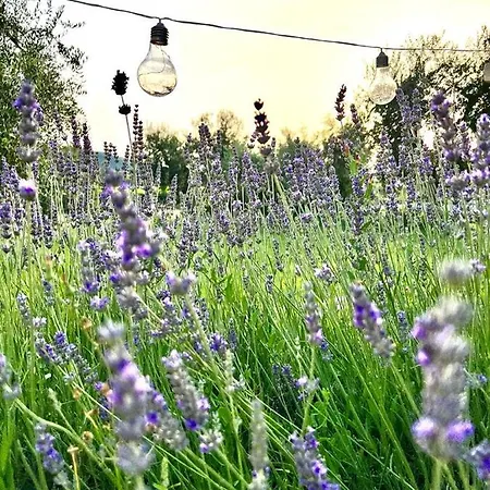 Podere Montecorno Farm stay *