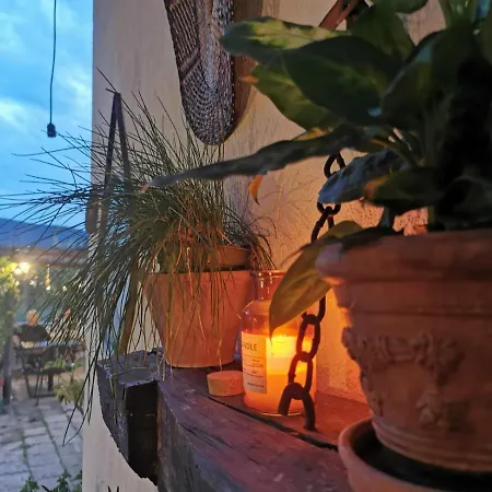 Podere Montecorno