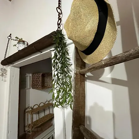 Farm stay Podere Montecorno