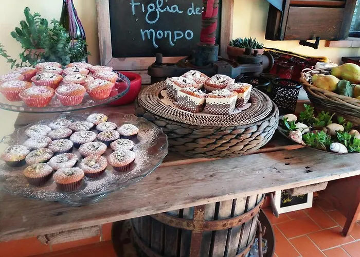 Podere Montecorno