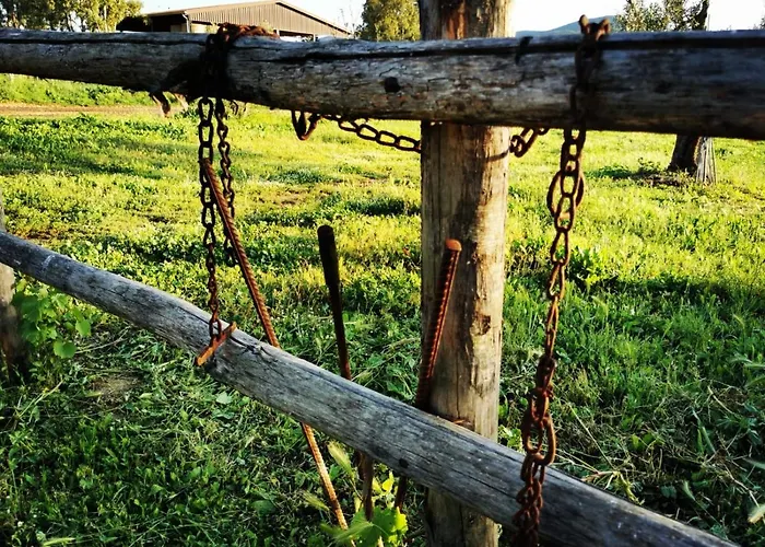 Podere Montecorno