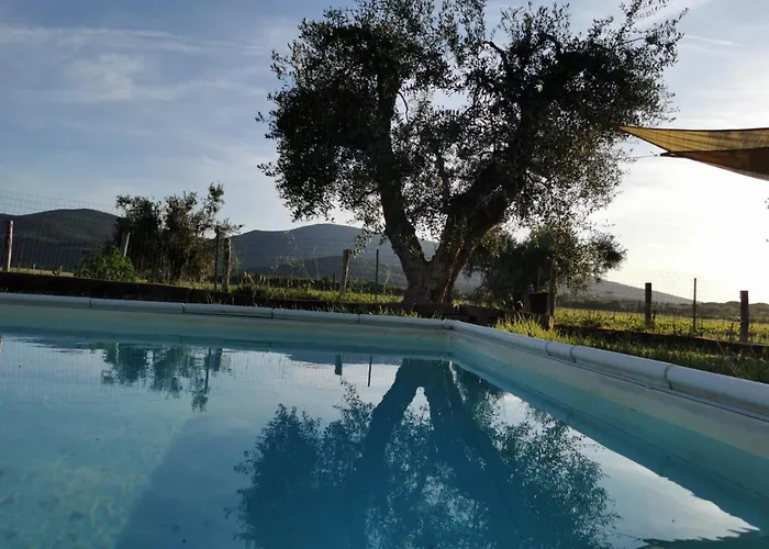 Podere Montecorno * Alberese