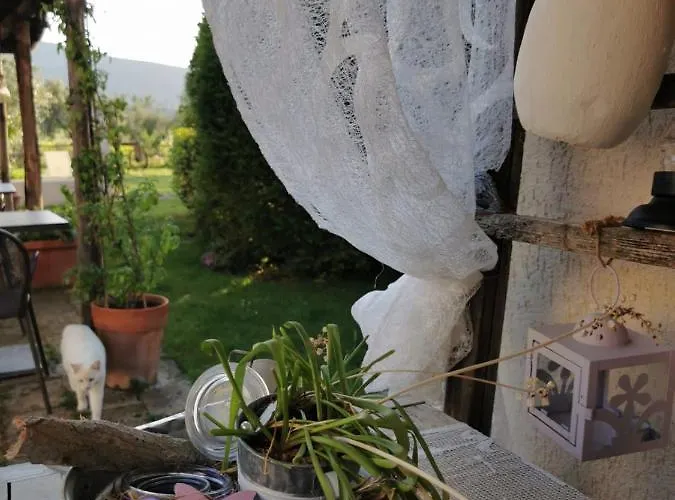 Podere Montecorno * Alberese