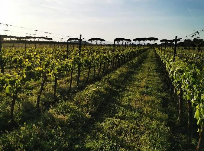Podere Montecorno * Alberese