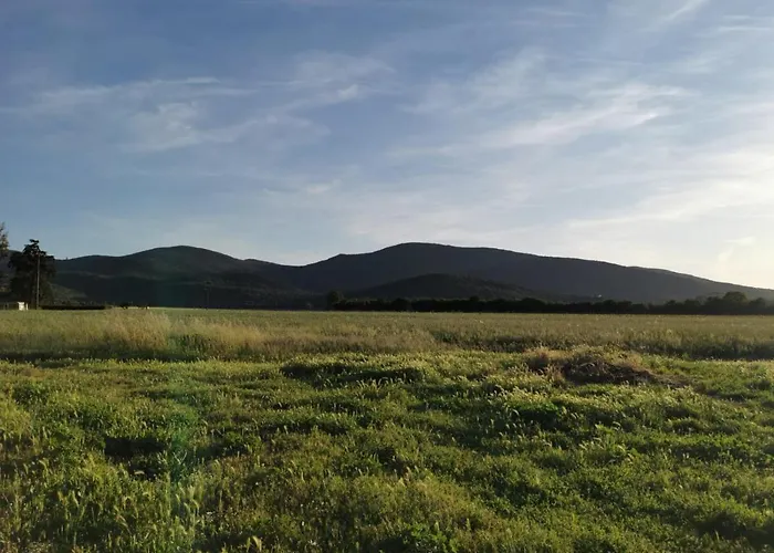 Gospodarstwo agroturystyczne Podere Montecorno *