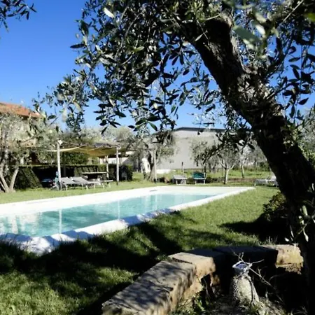 Podere Montecorno אלברזה