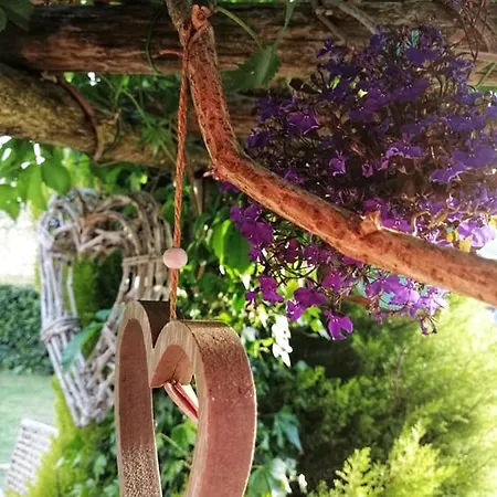 Podere Montecorno בית חווה אלברזה