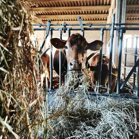 Podere Montecorno אלברזה