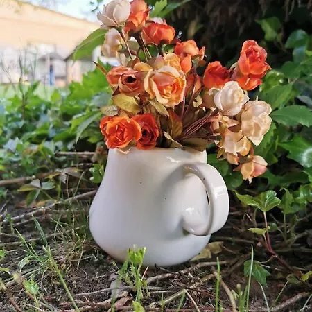 Podere Montecorno בית חווה אלברזה