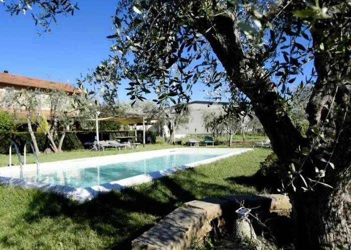 Podere Montecorno 알베레세