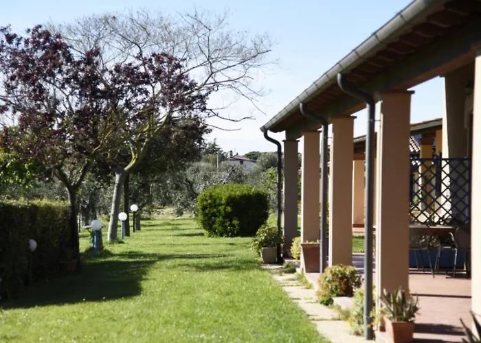 팜스테이 Podere Montecorno 알베레세