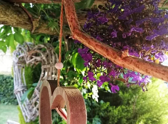 Podere Montecorno 팜스테이 알베레세