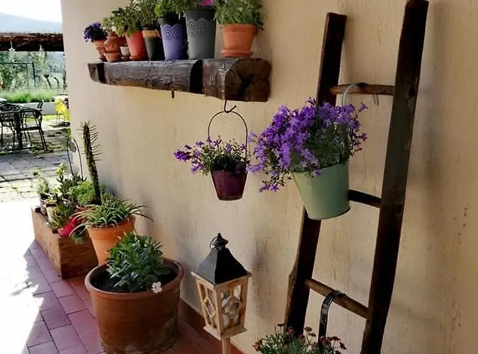 팜스테이 Podere Montecorno 알베레세