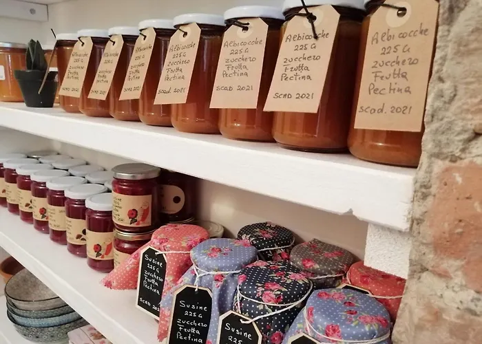 Podere Montecorno 팜스테이 *