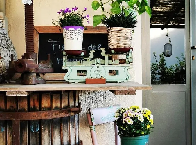 Podere Montecorno 알베레세