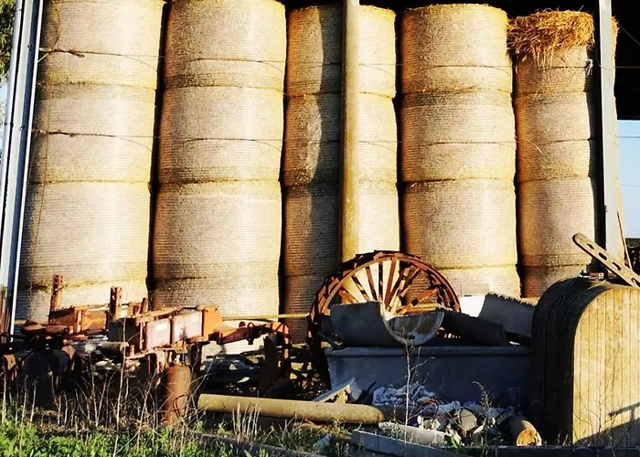 Podere Montecorno 팜스테이