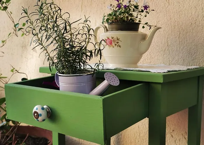 Podere Montecorno 팜스테이 *