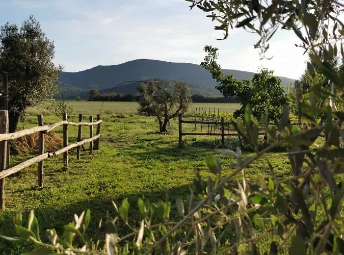 팜스테이 Podere Montecorno 알베레세