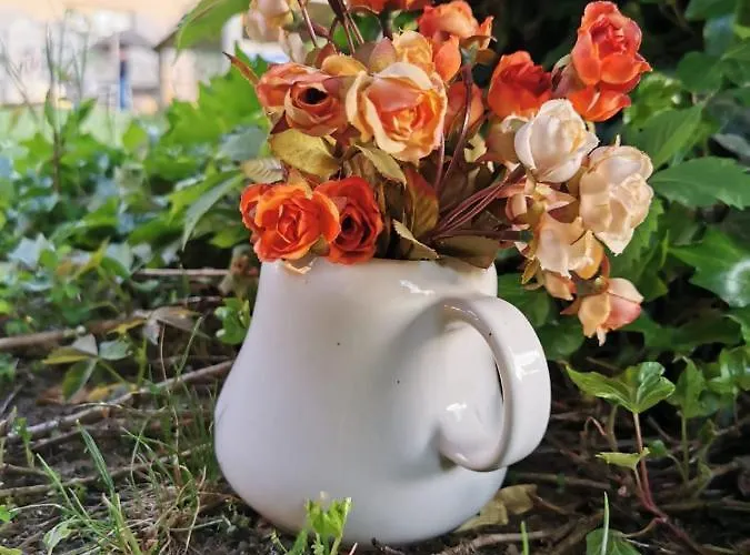 Podere Montecorno 팜스테이 알베레세