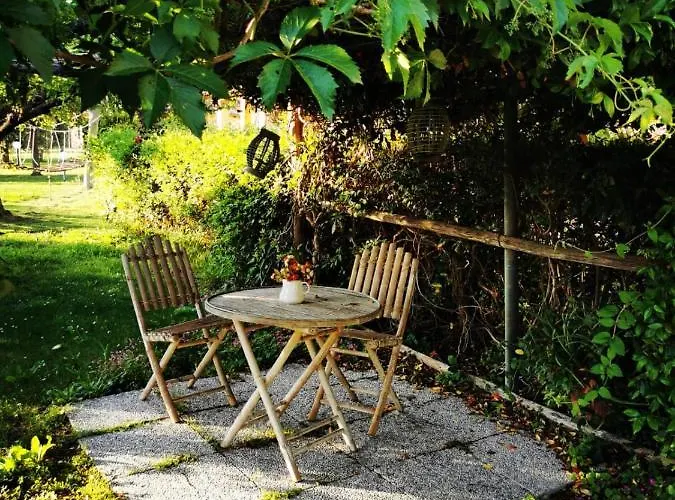 Podere Montecorno 알베레세