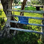 Podere Montecorno