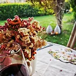 Podere Montecorno Feriegård *