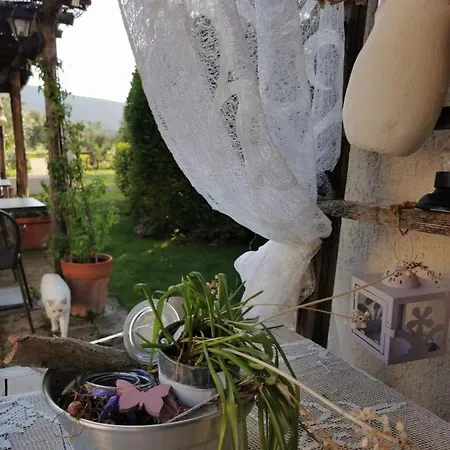 Podere Montecorno * Alberese