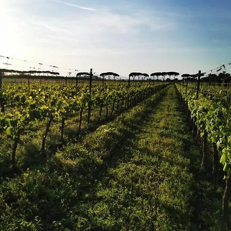 Podere Montecorno * Alberese